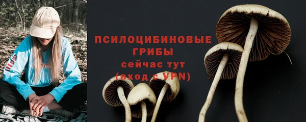 синтетический гашиш Корсаков