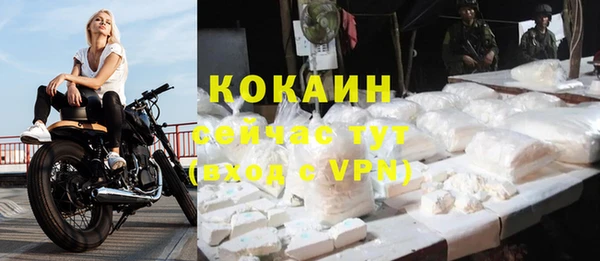 дживик Кодинск