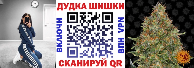 Шишки марихуана план  Купить закладки  Дрезна 